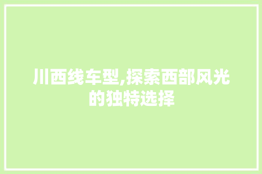 川西线车型,探索西部风光的独特选择 车身配件