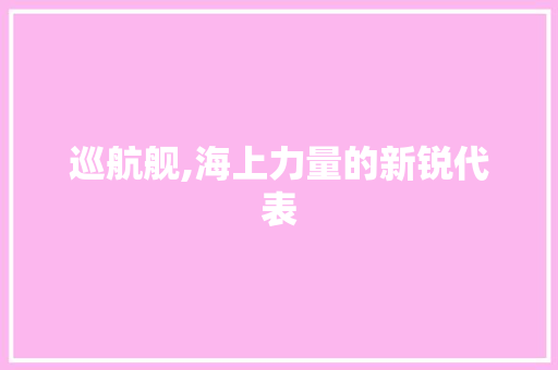 巡航舰,海上力量的新锐代表