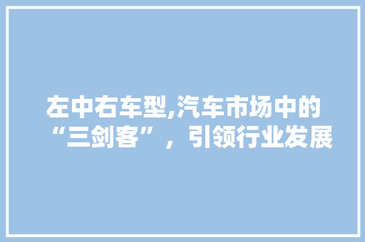 左中右车型,汽车市场中的“三剑客”，引领行业发展新风向