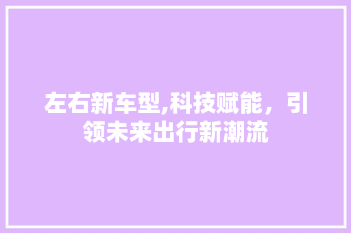 左右新车型,科技赋能，引领未来出行新潮流