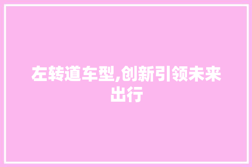 左转道车型,创新引领未来出行