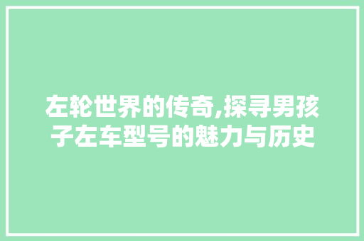 左轮世界的传奇,探寻男孩子左车型号的魅力与历史