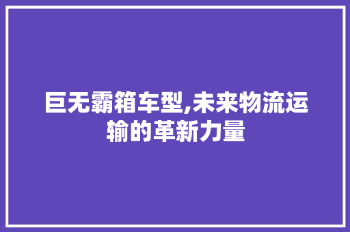 巨无霸箱车型,未来物流运输的革新力量
