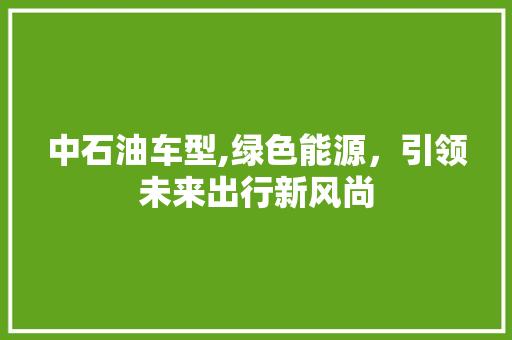 中石油车型,绿色能源，引领未来出行新风尚