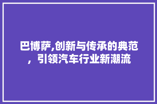 巴博萨,创新与传承的典范，引领汽车行业新潮流