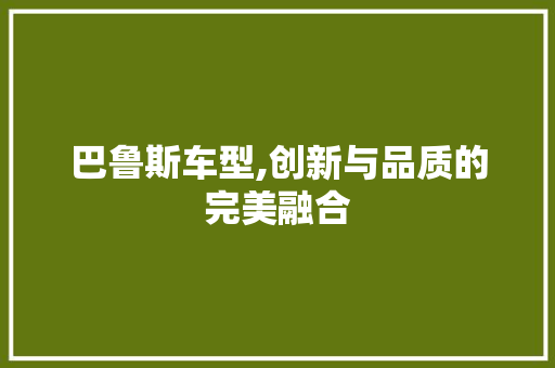 巴鲁斯车型,创新与品质的完美融合