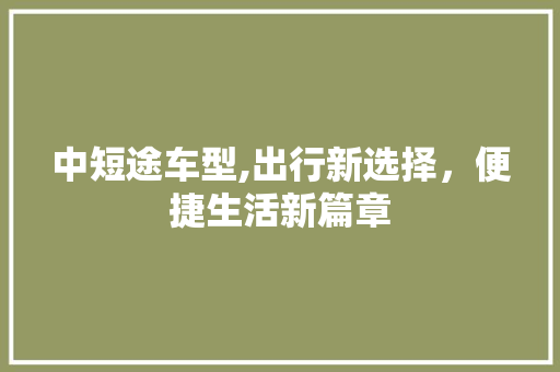 中短途车型,出行新选择，便捷生活新篇章