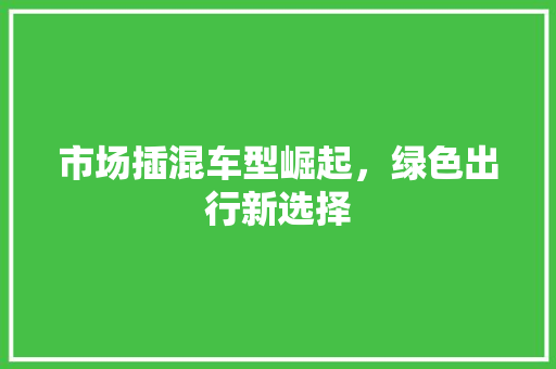 市场插混车型崛起，绿色出行新选择