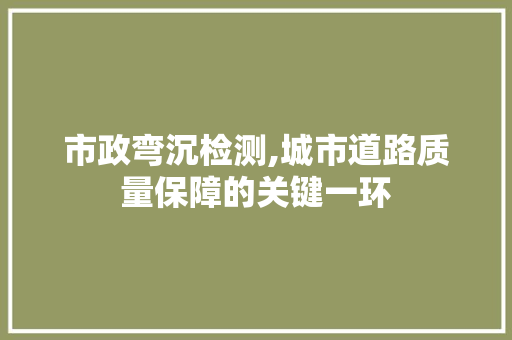 市政弯沉检测,城市道路质量保障的关键一环