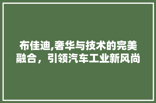 布佳迪,奢华与技术的完美融合，引领汽车工业新风尚