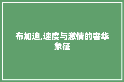 布加迪,速度与激情的奢华象征