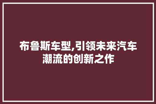 布鲁斯车型,引领未来汽车潮流的创新之作 汽车配件