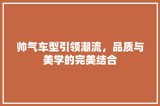 帅气车型引领潮流，品质与美学的完美结合