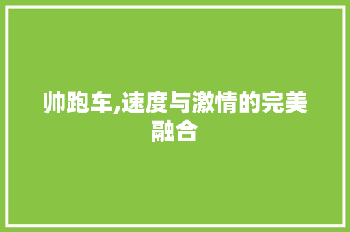 帅跑车,速度与激情的完美融合