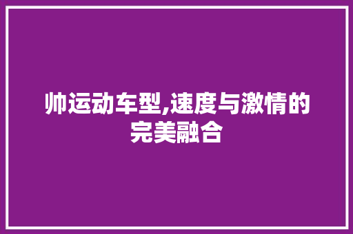 帅运动车型,速度与激情的完美融合 车灯配件