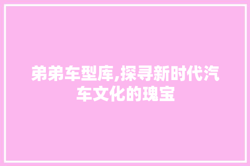 弟弟车型库,探寻新时代汽车文化的瑰宝