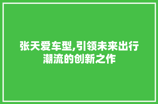 张天爱车型,引领未来出行潮流的创新之作