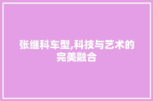 张继科车型,科技与艺术的完美融合