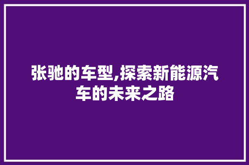 张驰的车型,探索新能源汽车的未来之路