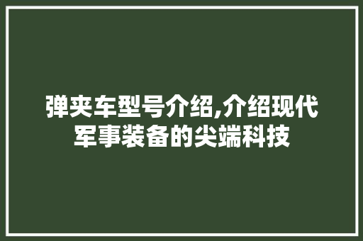 弹夹车型号介绍,介绍现代军事装备的尖端科技