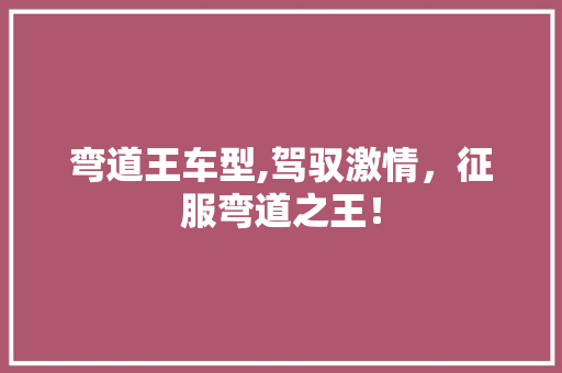 弯道王车型,驾驭激情，征服弯道之王！