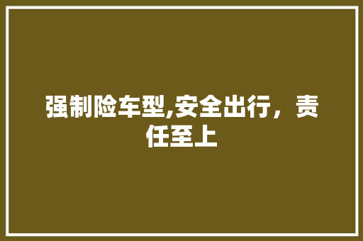 强制险车型,安全出行，责任至上
