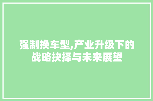 强制换车型,产业升级下的战略抉择与未来展望