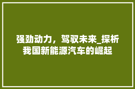 强劲动力，驾驭未来_探析我国新能源汽车的崛起