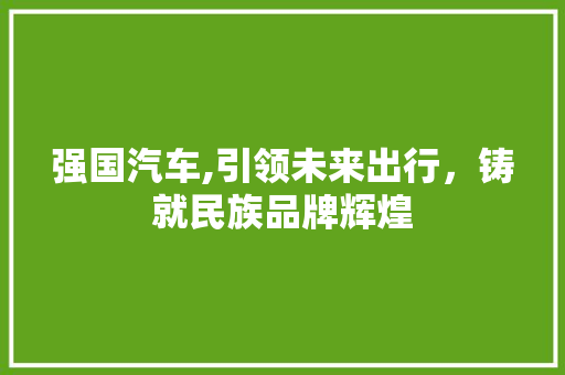 强国汽车,引领未来出行，铸就民族品牌辉煌 变速箱配件
