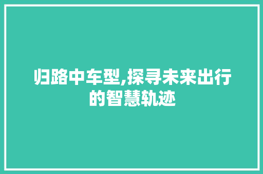 归路中车型,探寻未来出行的智慧轨迹