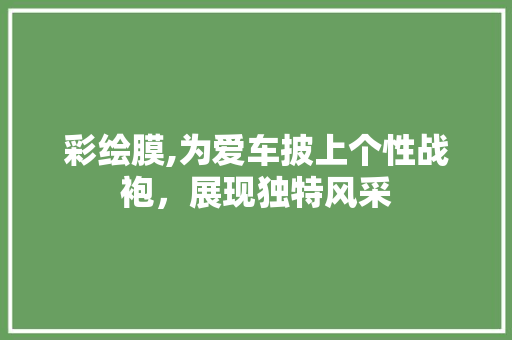彩绘膜,为爱车披上个性战袍，展现独特风采 车灯配件
