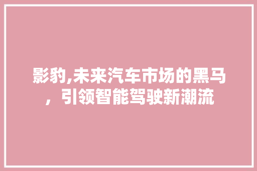 影豹,未来汽车市场的黑马，引领智能驾驶新潮流 新能源汽车
