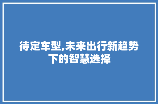 待定车型,未来出行新趋势下的智慧选择