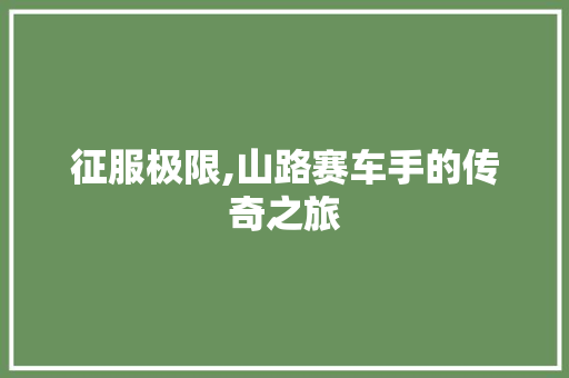 征服极限,山路赛车手的传奇之旅