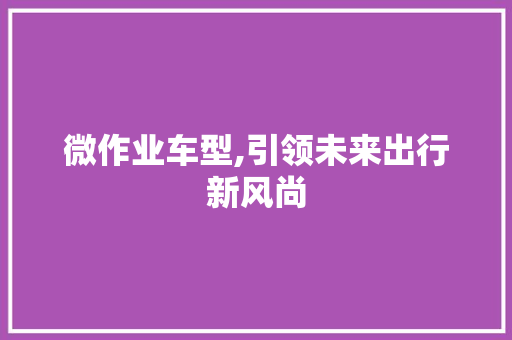 微作业车型,引领未来出行新风尚