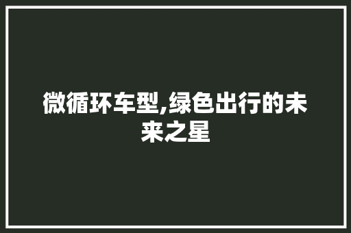 微循环车型,绿色出行的未来之星
