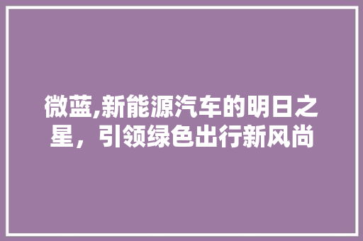 微蓝,新能源汽车的明日之星，引领绿色出行新风尚