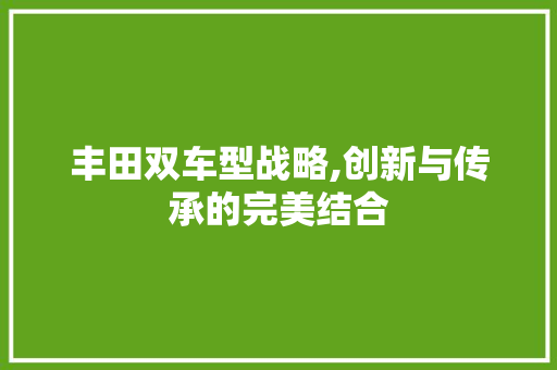丰田双车型战略,创新与传承的完美结合