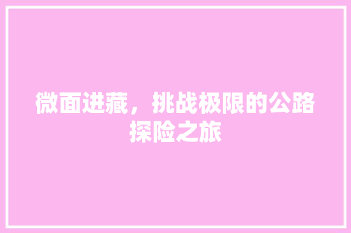 微面进藏，挑战极限的公路探险之旅
