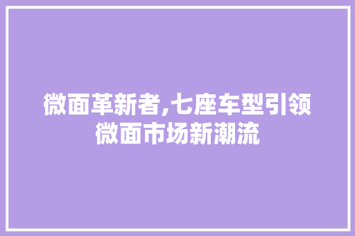 微面革新者,七座车型引领微面市场新潮流