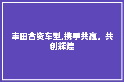 丰田合资车型,携手共赢，共创辉煌