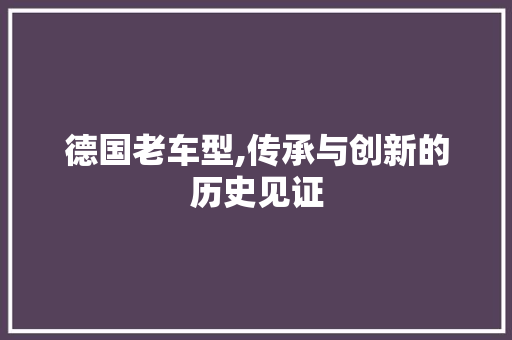 德国老车型,传承与创新的历史见证