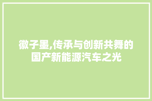 徽子墨,传承与创新共舞的国产新能源汽车之光