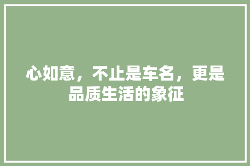 心如意，不止是车名，更是品质生活的象征