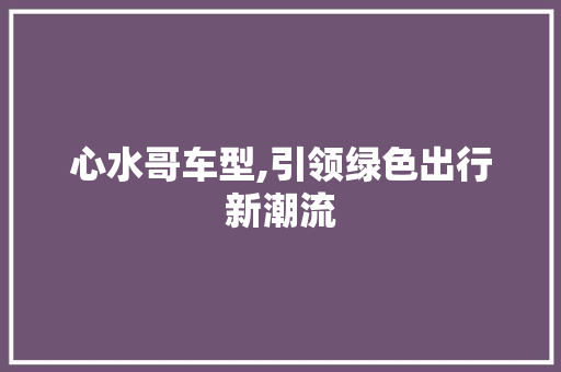 心水哥车型,引领绿色出行新潮流