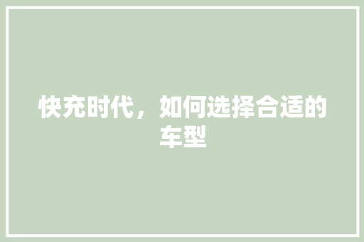 快充时代，如何选择合适的车型