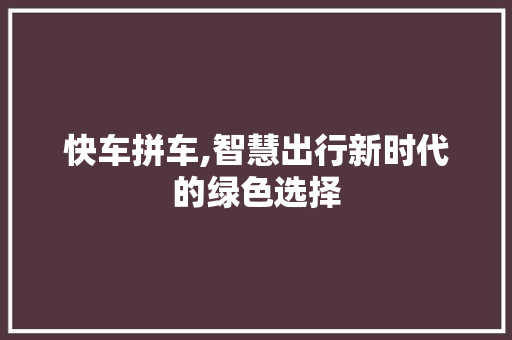 快车拼车,智慧出行新时代的绿色选择