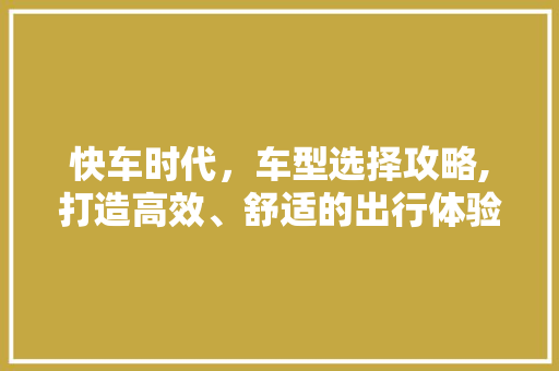 快车时代，车型选择攻略,打造高效、舒适的出行体验