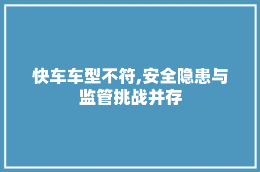 快车车型不符,安全隐患与监管挑战并存