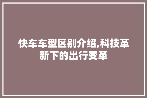 快车车型区别介绍,科技革新下的出行变革